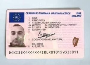 driver license ireland price